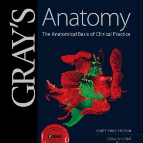 Gray's Anatomy: The Anatomical Basis of Clinical Practice